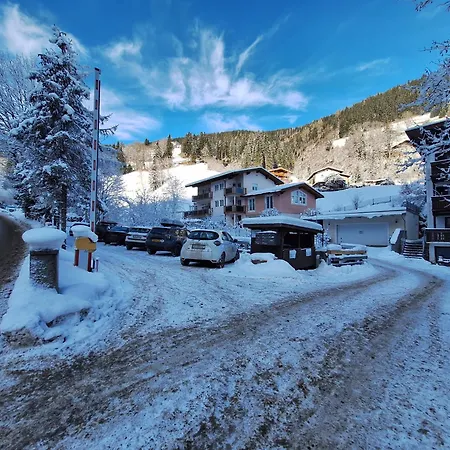 Peacock - Steinbock *