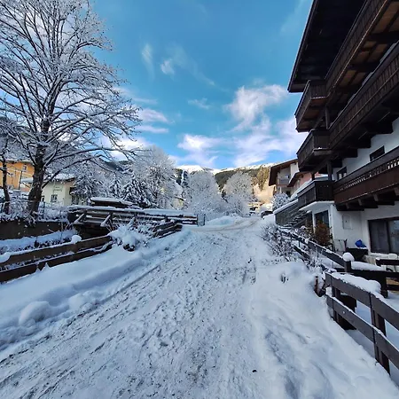 Peacock - Steinbock Τσελ αμ Ζέε